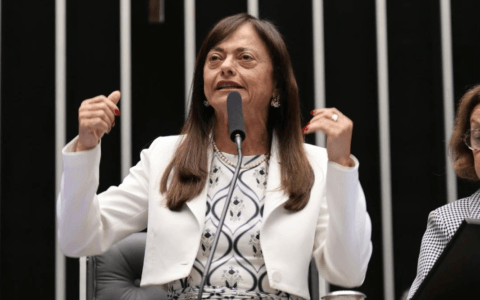 Imagem do post “Enfrentamento à misoginia precisa ampliar a proteção às mulheres e reforçar a responsabilidade das plataformas”, diz Alice Portugal