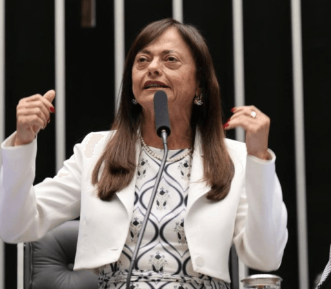 Imagem do post “Enfrentamento à misoginia precisa ampliar a proteção às mulheres e reforçar a responsabilidade das plataformas”, diz Alice Portugal