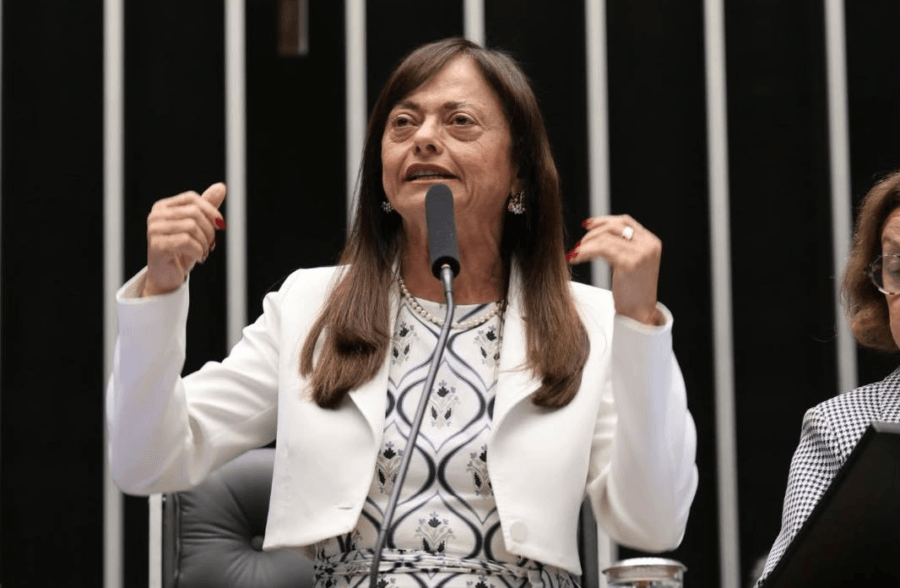 “Enfrentamento à misoginia precisa ampliar a proteção às mulheres e reforçar a responsabilidade das plataformas”, diz Alice Portugal