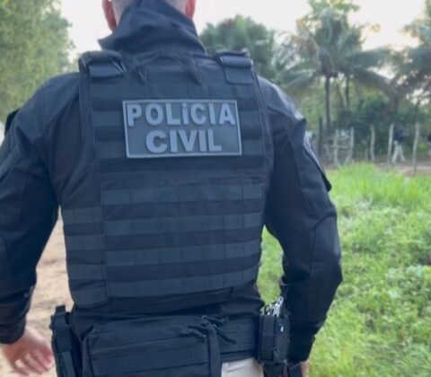 Imagem do post Polícia Civil recupera 69 baterias estacionárias em Feira de Santana