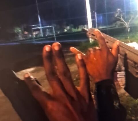 Imagem do post Traficantes do BDM mortos em Cajazeiras exibiam armas nas redes sociais