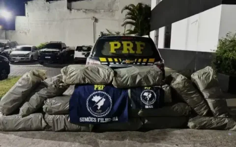 Imagem do post PRF apreende 96 kg de maconha escondidos em caçamba de picape na BR-324