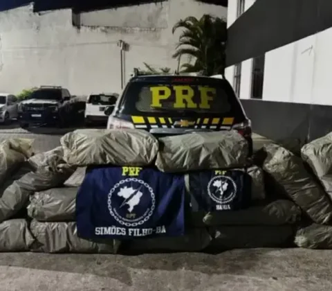 Imagem do post PRF apreende 96 kg de maconha escondidos em caçamba de picape na BR-324