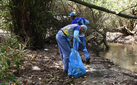 Imagem do post Prefeitura inicia limpeza no Parque do Manguezal do Rio Passa Vaca