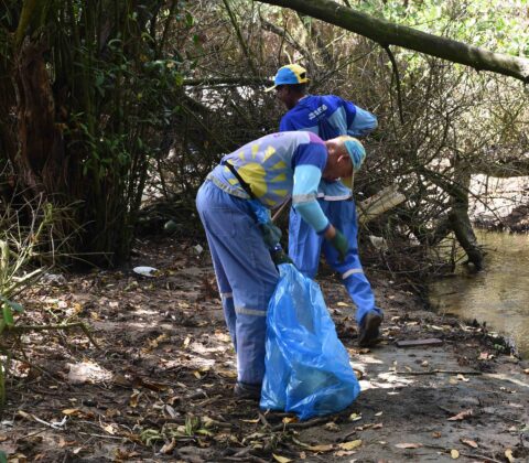 Imagem do post Prefeitura inicia limpeza no Parque do Manguezal do Rio Passa Vaca
