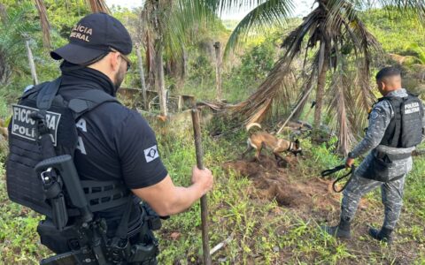 Imagem do post Com ajuda de cães farejadores, polícia encontra cocaína e munições do PCC e BDM