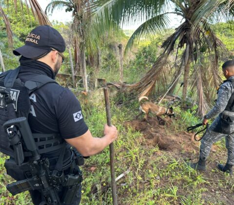 Imagem do post Com ajuda de cães farejadores, polícia encontra cocaína e munições do PCC e BDM