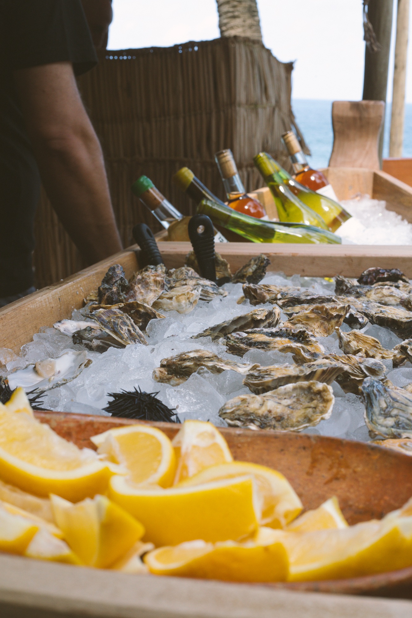 Salvador ganha novo Bar de Ostras aos sábados com frutos do mar e música