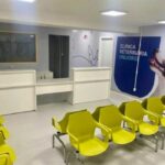 Clínica veterinária em Salvador oferece consultas, exames e cirurgias; veja como agendar