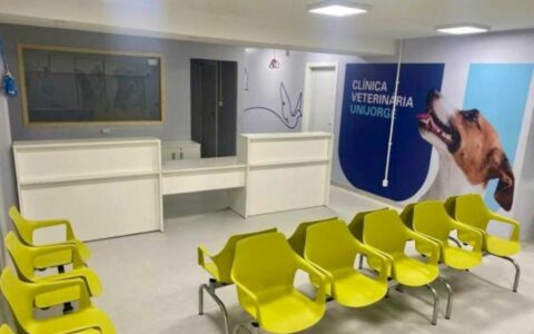Imagem do post Clínica veterinária em Salvador oferece consultas, exames e cirurgias; veja como agendar