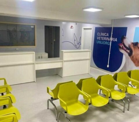 Imagem do post Clínica veterinária em Salvador oferece consultas, exames e cirurgias; veja como agendar