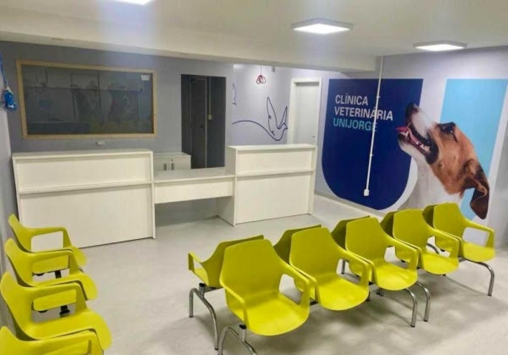 Clínica veterinária em Salvador oferece consultas, exames e cirurgias; veja como agendar