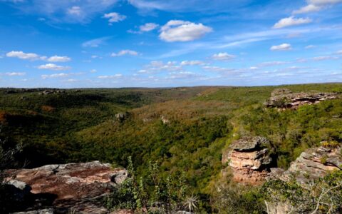 Imagem do post Decreto estadual cria unidade de conservação na Chapada Diamantina