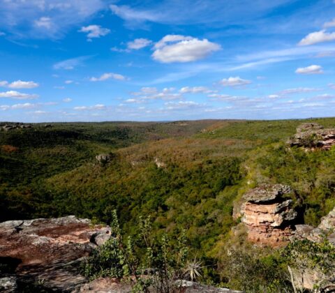 Imagem do post Decreto estadual cria unidade de conservação na Chapada Diamantina