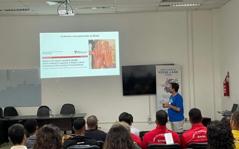 Imagem do post Peixe-leão avança no litoral e Lauro de Freitas prepara técnicos para combater a espécie