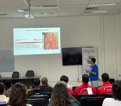 Imagem do post Peixe-leão avança no litoral e Lauro de Freitas prepara técnicos para combater a espécie