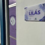 Governo da Bahia realiza entregas em Cabaceiras do Paraguaçu, Castro Alves e Itaberaba nesta sexta (4)