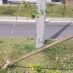 Prefeitura de Lauro de Freitas repudia atos de vandalismo contra projeto de preservação ambiental do município