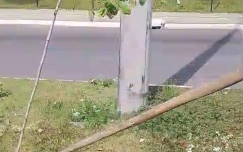 Imagem do post Prefeitura de Lauro de Freitas repudia atos de vandalismo contra projeto de preservação ambiental do município