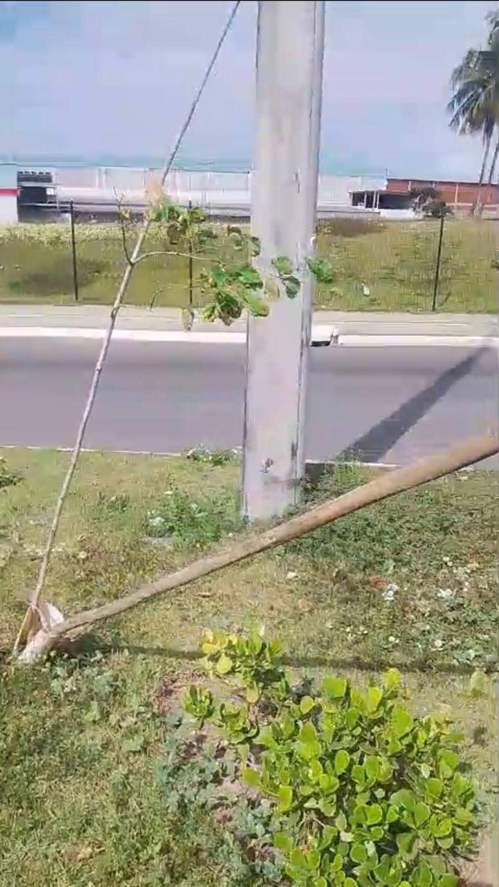 Prefeitura de Lauro de Freitas repudia atos de vandalismo contra projeto de preservação ambiental do município