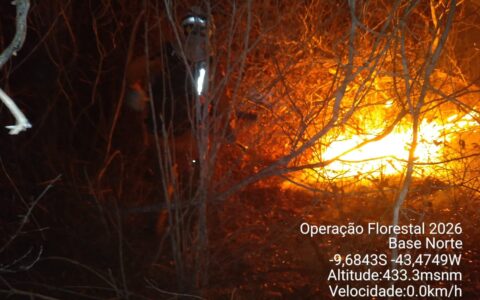 Imagem do post Bahia reforça combate a incêndio florestal no Norte e protege comunidades