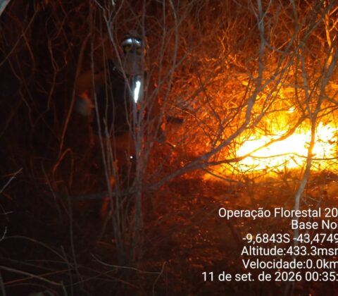 Imagem do post Bahia reforça combate a incêndio florestal no Norte e protege comunidades