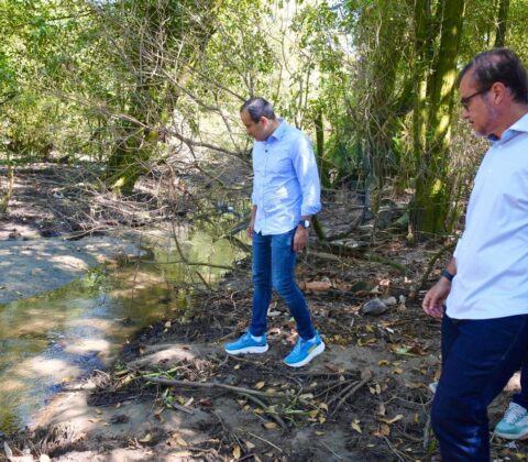Imagem do post Bruno Reis anuncia criação de dois parques e amplia áreas de preservação ambiental em Salvador