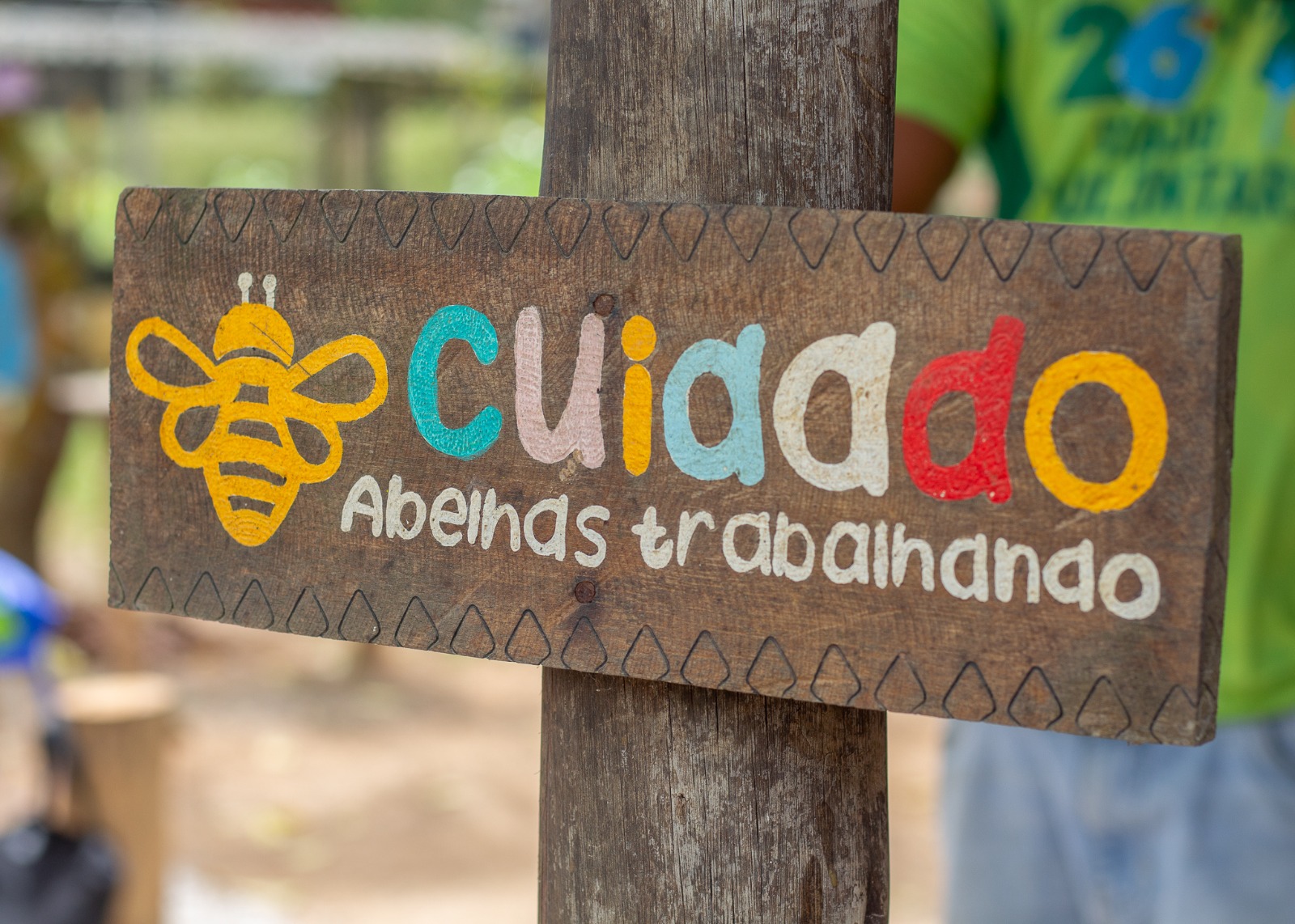 Professoras da rede recebem certificação em Meliponicultura