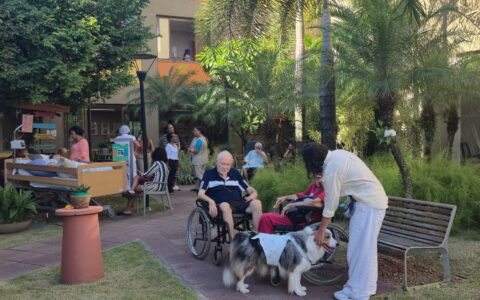 Imagem do post Hospital em Salvador ‘prescreve’ música, horta e jogos para pacientes
