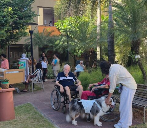 Imagem do post Hospital em Salvador ‘prescreve’ música, horta e jogos para pacientes