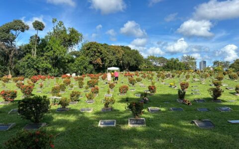 Imagem do post Jardim da Saudade reúne 10 mil em homenagem de Finados em Salvador