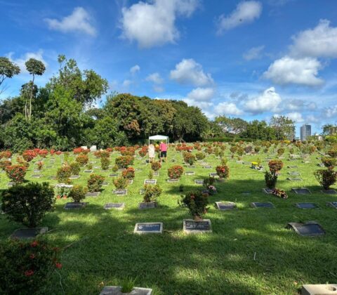 Imagem do post Jardim da Saudade reúne 10 mil em homenagem de Finados em Salvador