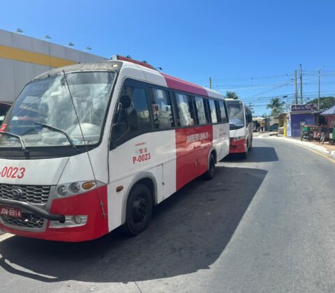 Imagem do post Lauro de Freitas terá transporte complementar gratuito no domingo; veja como funciona