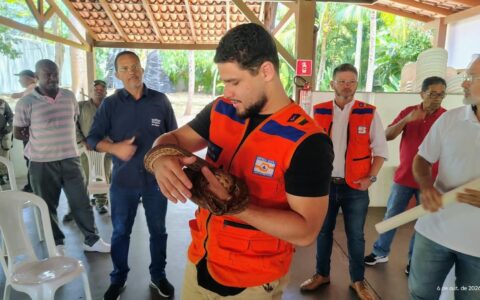Imagem do post Defesa Civil de Lauro de Freitas participa de capacitação sobre resgate de animais peçonhentos