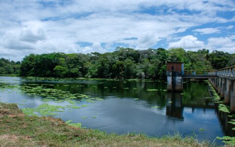 Imagem do post Prefeitura de Lauro de Freitas formaliza adesão à rede nacional de sustentabilidade urbana