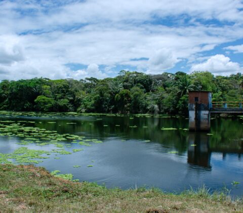 Imagem do post Prefeitura de Lauro de Freitas formaliza adesão à rede nacional de sustentabilidade urbana