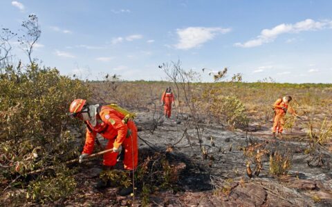 Imagem do post Governo da Bahia emite alerta para 417 municípios; saiba mais