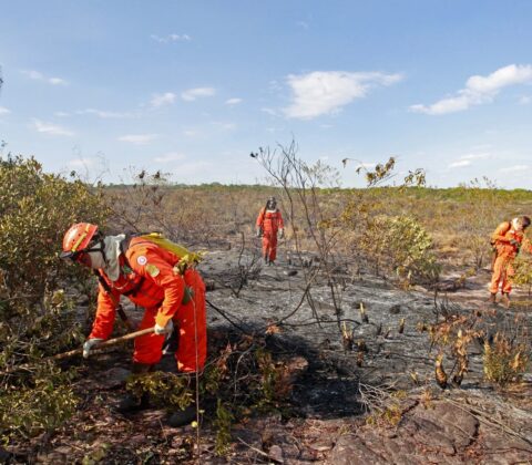 Imagem do post Governo da Bahia emite alerta para 417 municípios; saiba mais