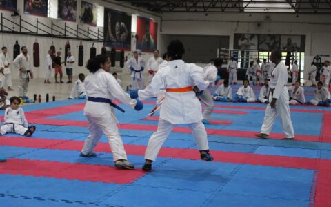 Imagem do post Meninas podem se inscrever em aulas gratuitas de artes marciais e canoagem na Bahia