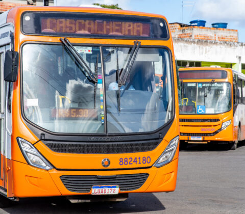 Imagem do post Camaçari terá transporte 100% gratuito no 2º turno