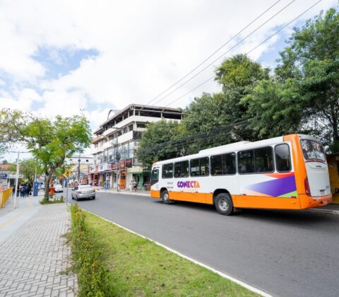 Imagem do post Eleições 2026: Camaçari terá ônibus de graça na zona rural