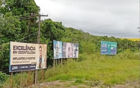 Imagem do post MP investiga possível desmatamento em área verde de Porto Seguro