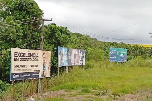 MP investiga possível desmatamento em área verde de Porto Seguro
