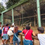 Crianças de Lauro de Freitas ganham passeio especial ao Zoológico de Salvador