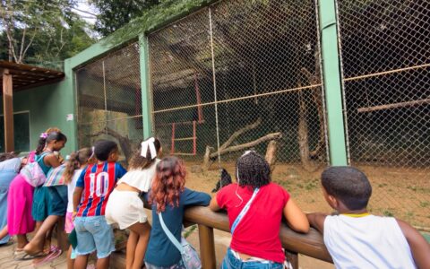 Imagem do post Crianças de Lauro de Freitas ganham passeio especial ao Zoológico de Salvador