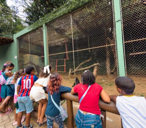 Imagem do post Crianças de Lauro de Freitas ganham passeio especial ao Zoológico de Salvador