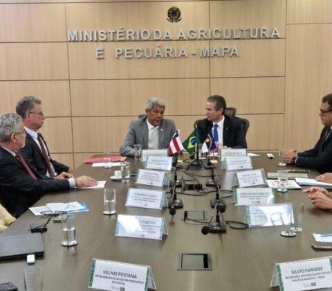 Imagem do post Bahia terá previsão oficial da safra de cacau após acordo entre Governo e Ministério da Agricultura